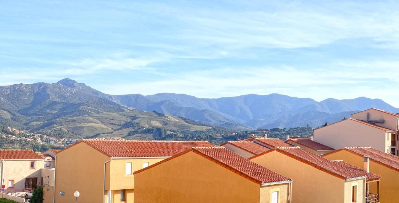Appartement Lumineux Entre Plage Et Montagne 바뉼쉬르메르 외부 사진
